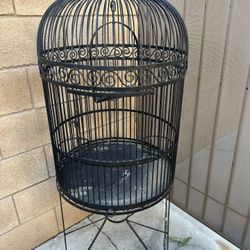 Bird Cage 