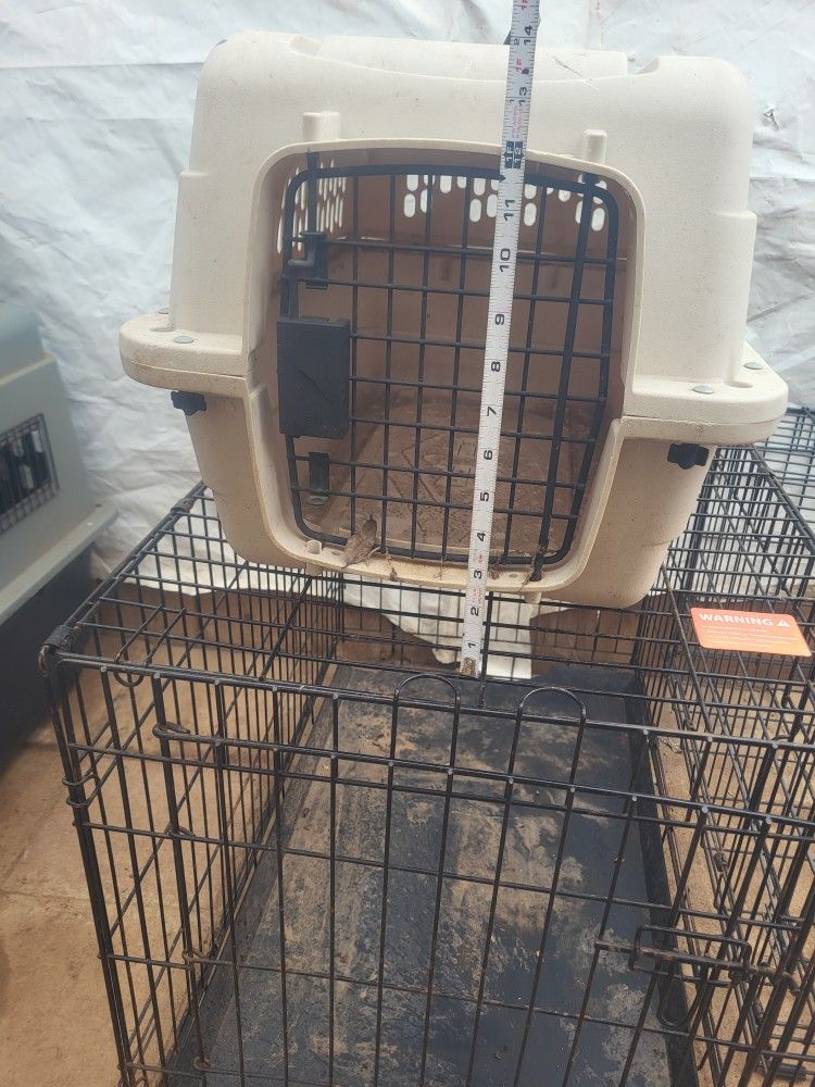 Dog Kennel