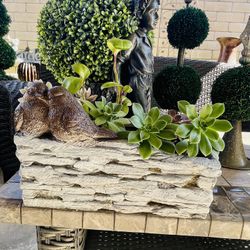 Succulents Arrangement 