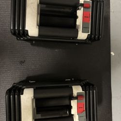 Powerblock Adjustable Weights 