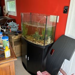 40 Gallon Fish Tank 