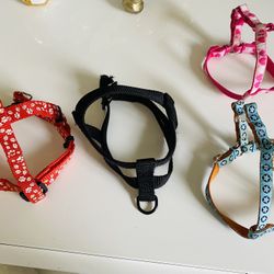 Dog lot of Leashes, Harneses, and Collars  assorted sizes