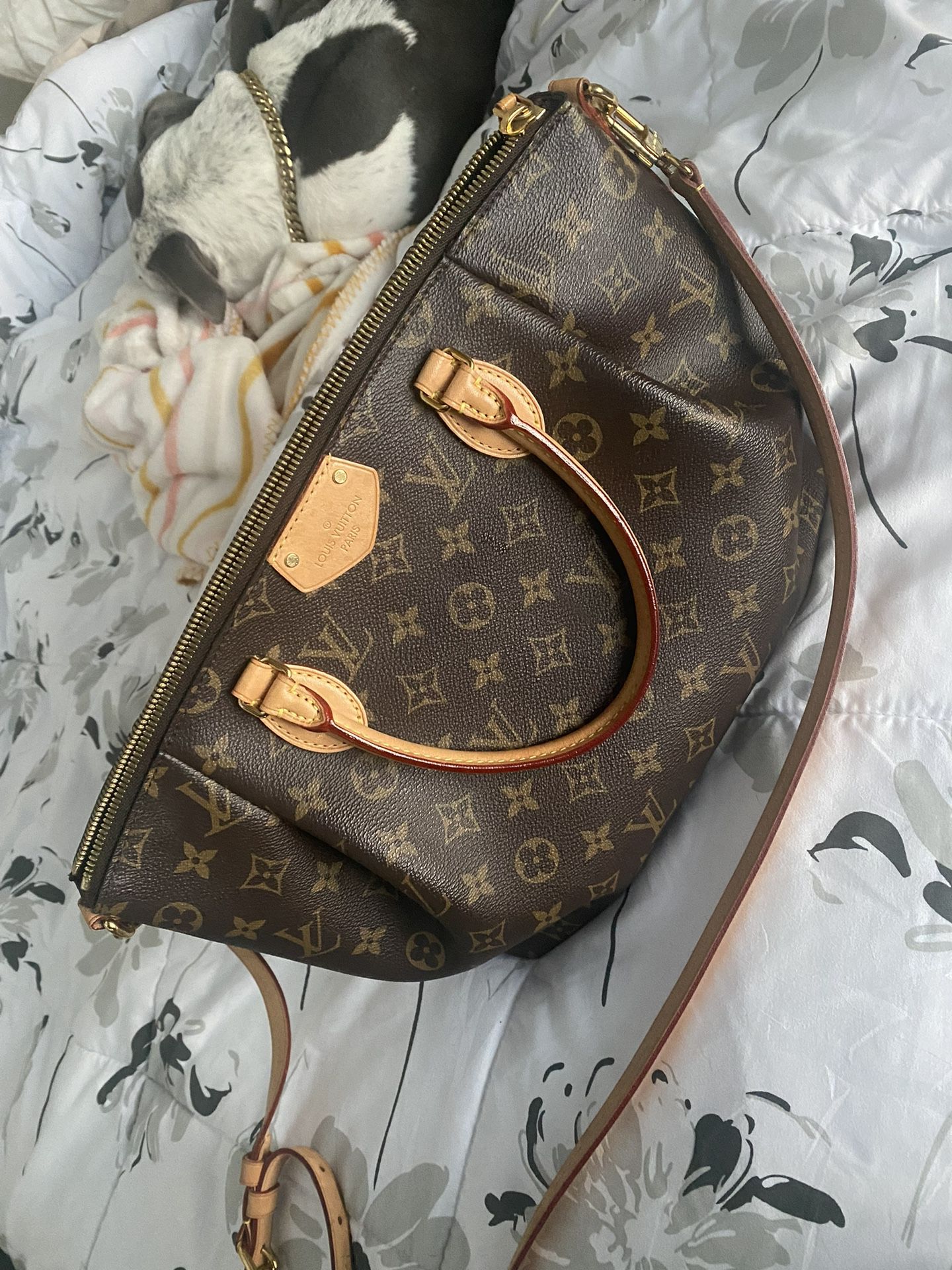 Louis Vuitton Tote for Sale in Westminster, CO - OfferUp