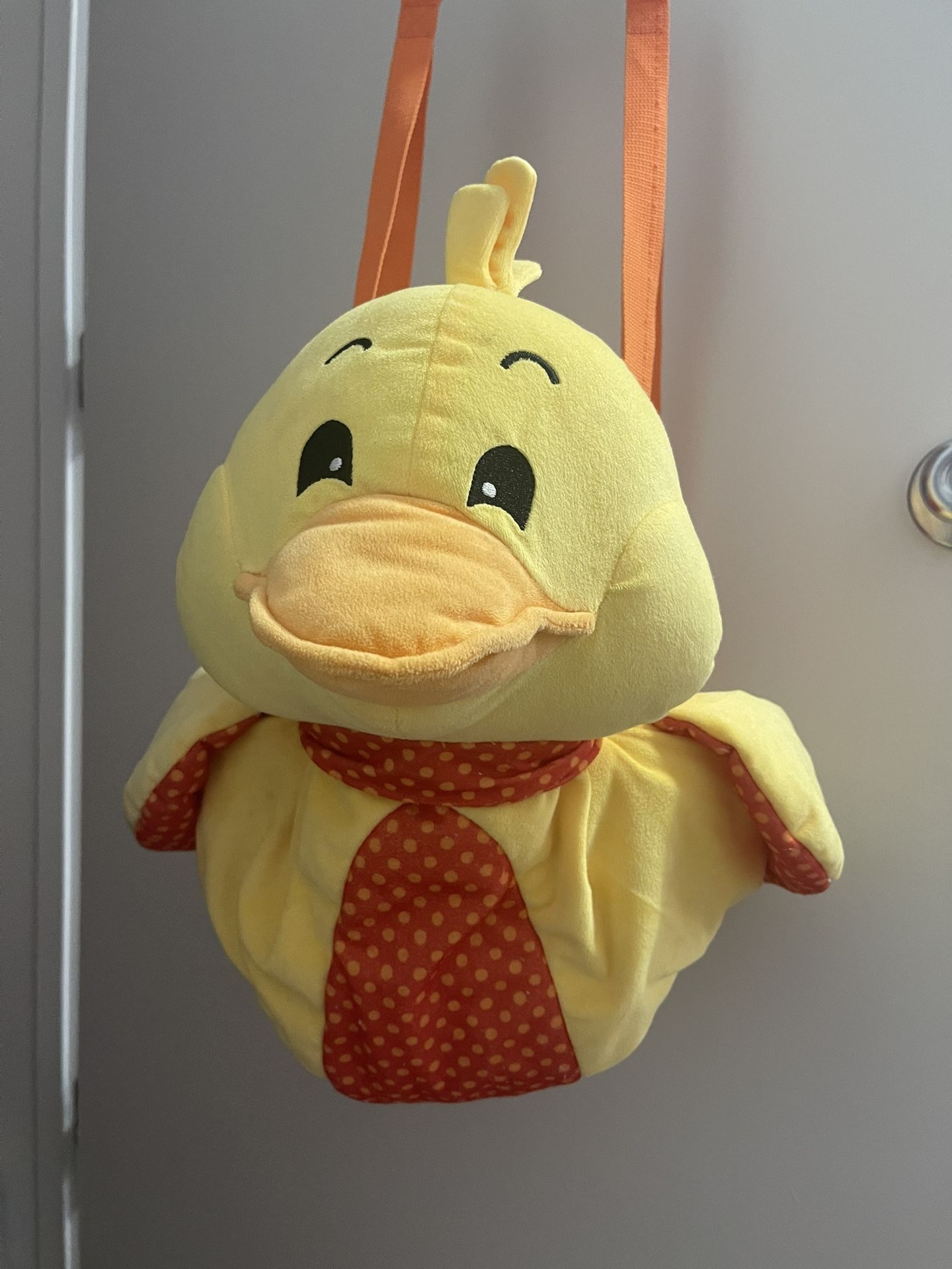 Infant Duck Door Swing