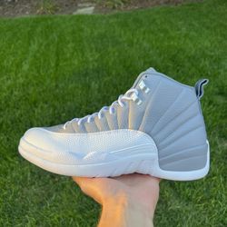 Air Jordan 12 Stealth CT8013-015