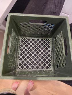Green Plastic Storage Crate with Handles