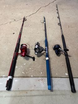 Fishing rods and reel