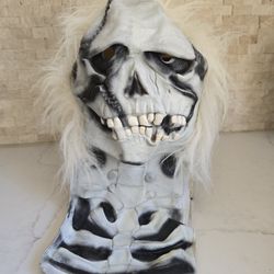 Vintage Skull Halloween Mask