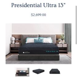 AmericanStar Presidential Queen Size Firm Mattress