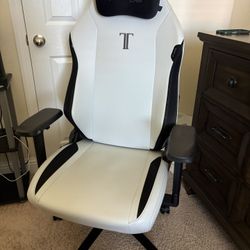 Secretlab Gaming Chair
