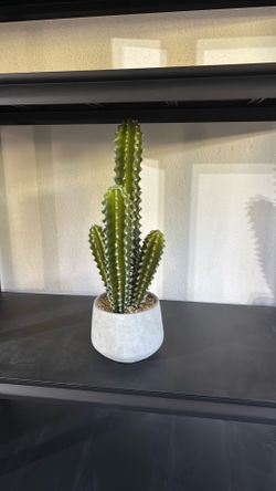 Cactus fake plant home decor plant decorations