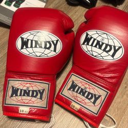Windy Boxing Gloves 10oz 