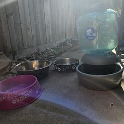 Dog Supplies 