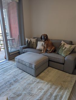 Beautiful Grey Couch