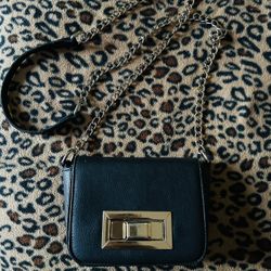 Small Black Purse