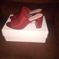 New,  Size 6 1/2
