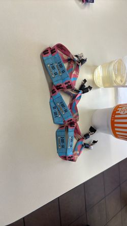 Austin City Limits Sunday Passes $125