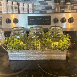 Decorative Mason Jar plant & Candle Holder