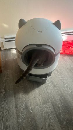 Electric Litter Box