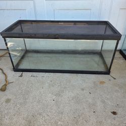 20 gallon  breeder tank!