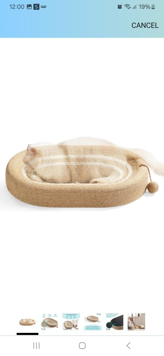 Cat Bed