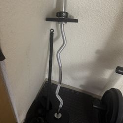 Curl Bar 