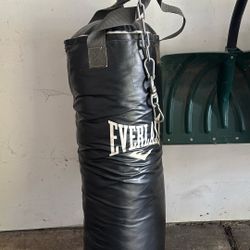 Everlast Boxing Punching Bag
