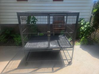 Ferret cage
