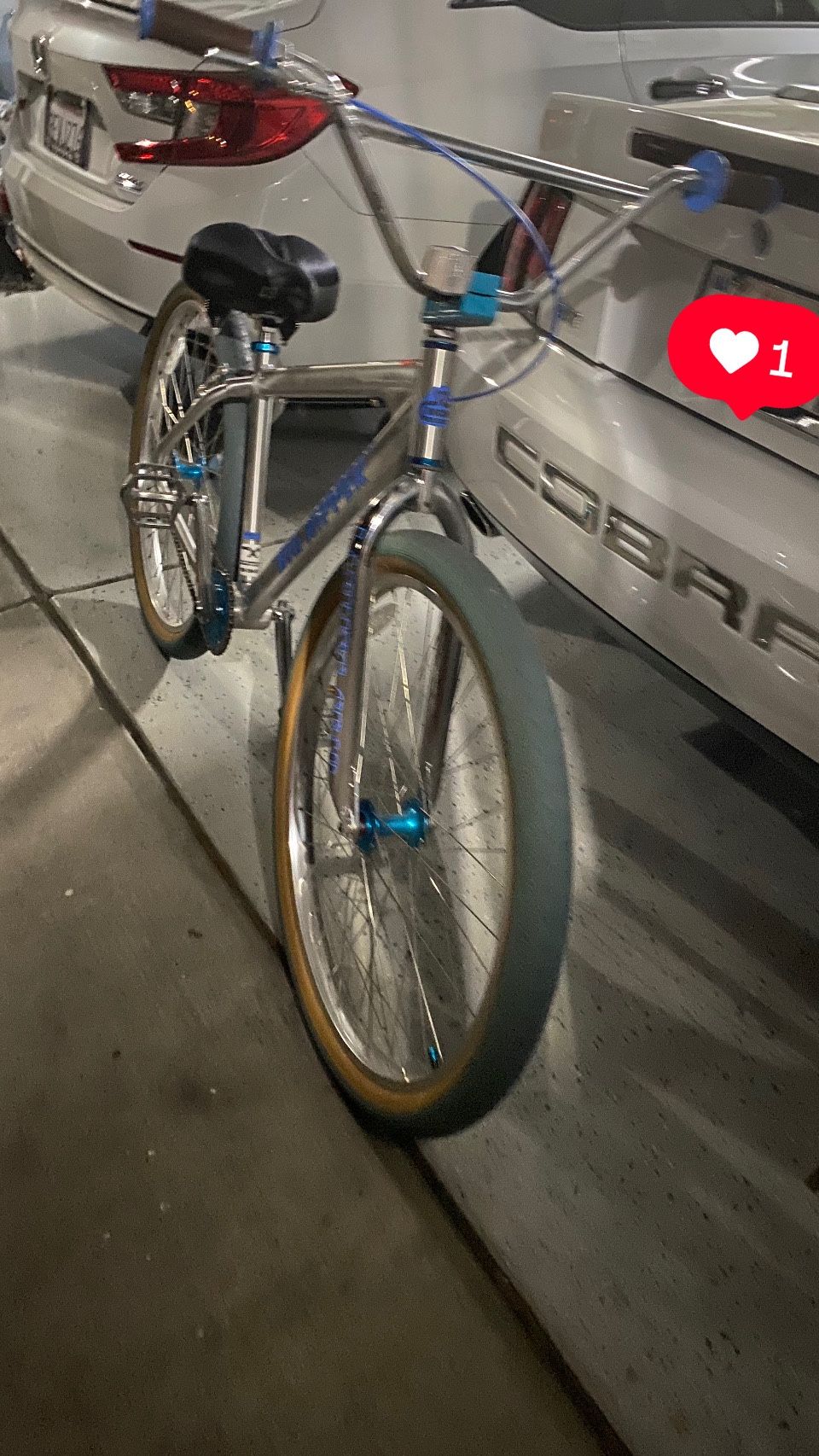 Se Big Ripper 29 NO TRADES