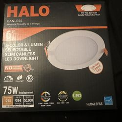 HALO CANLESS 6INCH 5color lumen slim canless