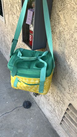 Cooler bag
