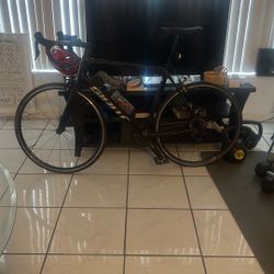 Giant Bike Carbon Fiber 