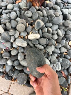 Mexican Beach Pebble