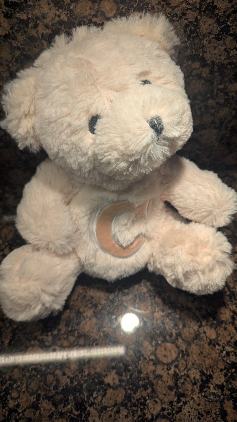 Plush Teddy Bear with the Letter "C" ~ Literally Like new!
