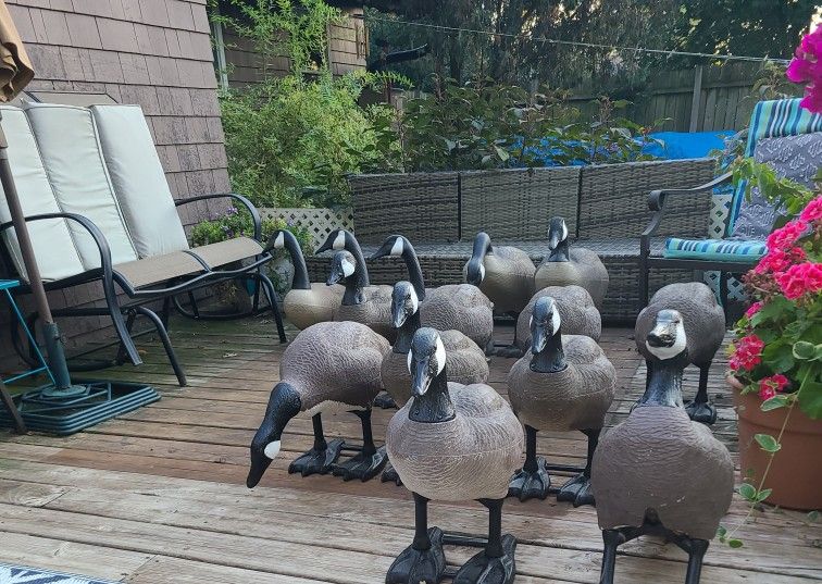 14 Fullbody Goose Decoys