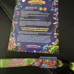 Beyond Wonderland 2-Day VIP 1 ticket 🎫