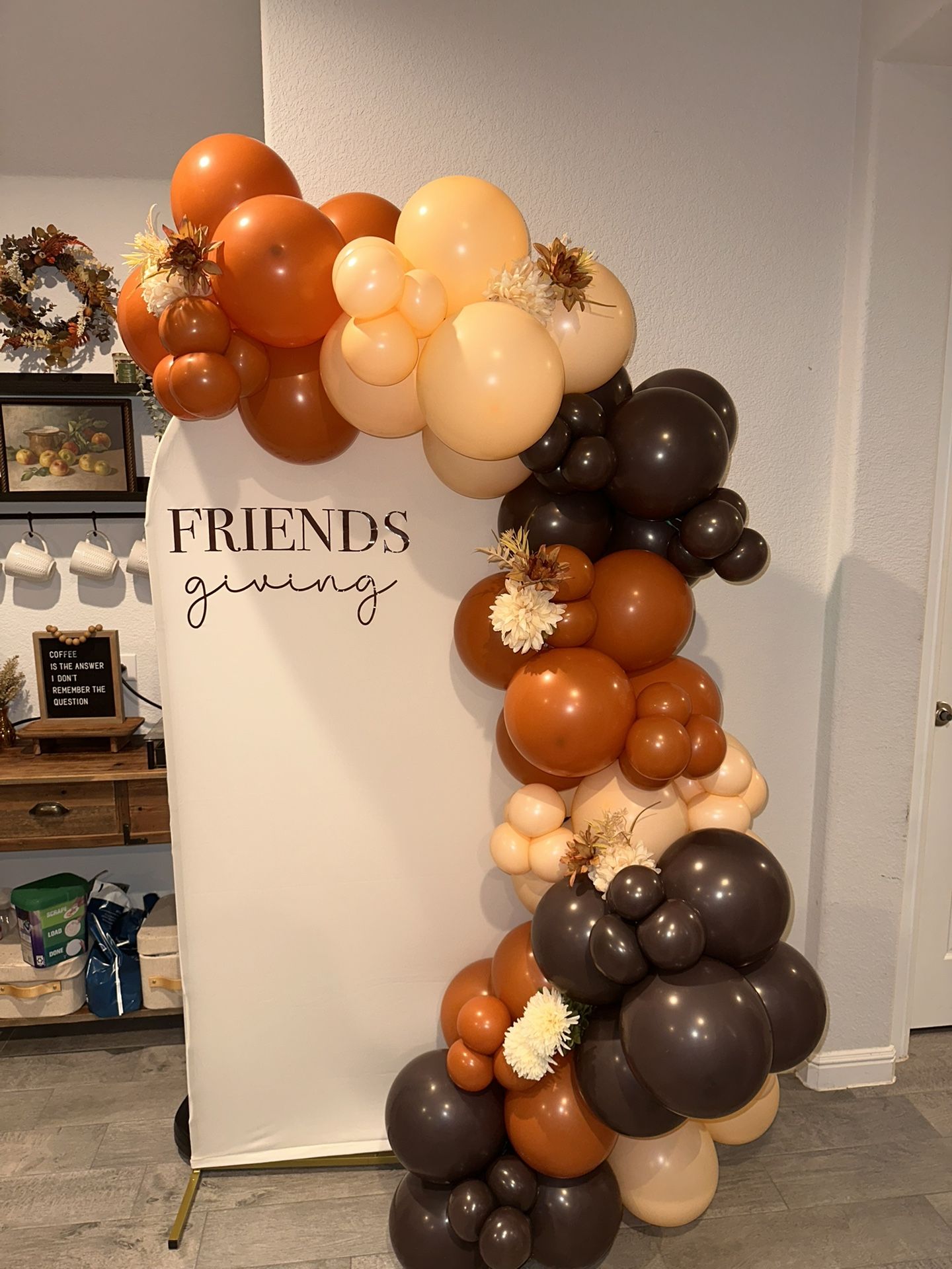Balloon Backdrops