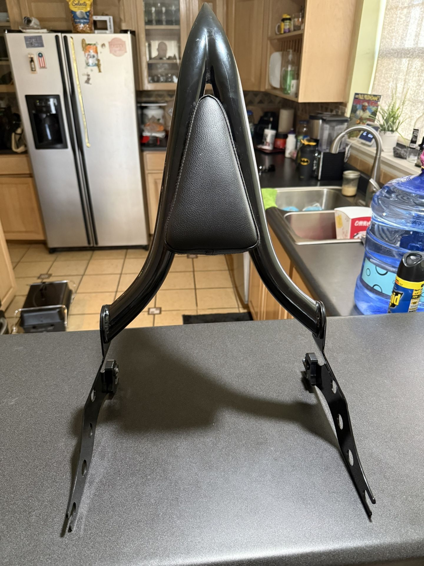 Sissy Bar for Harley