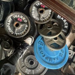 Gym Olympic Weight Plates 