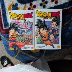 Dragon Ball Manga 11 &12 
