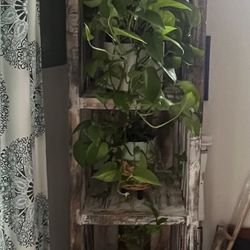 Rustic Boho Tall Storage Shelf