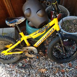 Schwinn Kids Bike