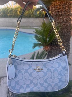 Sky blue purse