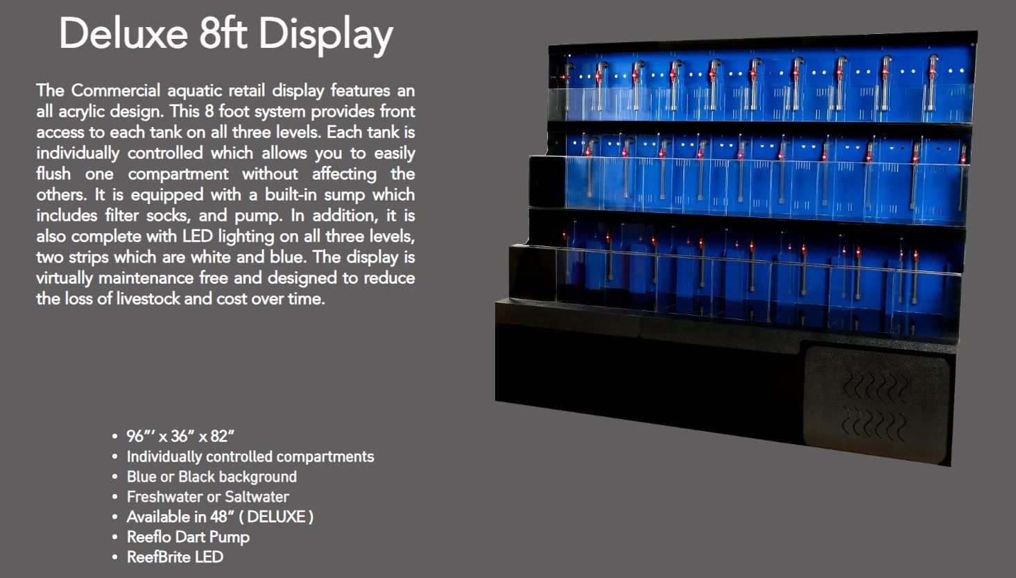 Acrylic Fish Display Tank