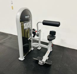 Nautilus Instinct Dual Abdominal/Lower Back Machine - Gym Equipment - Workout
