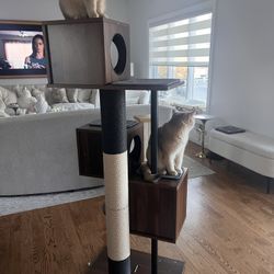 Modern Cat Tree