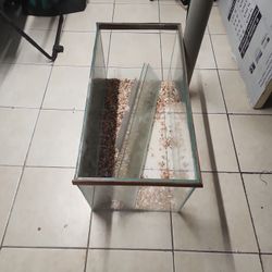 55 Gallon Fish Tank 