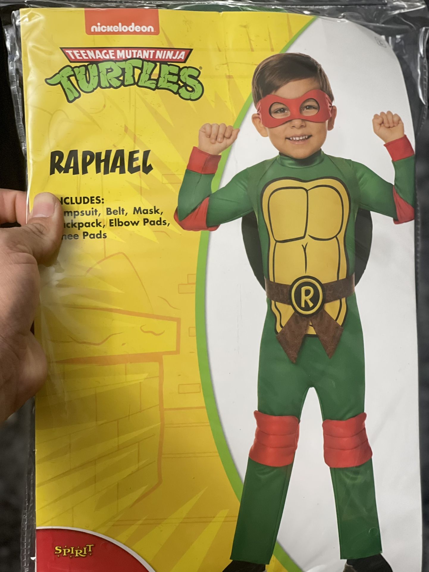 Toddler Teenage Mutant Ninja Turtle Raphael Halloween Costume