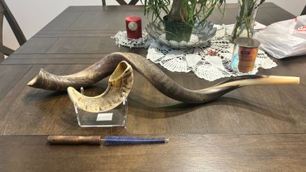 Kudu Shofar 41” Half Polished with Natural Ram Shofar