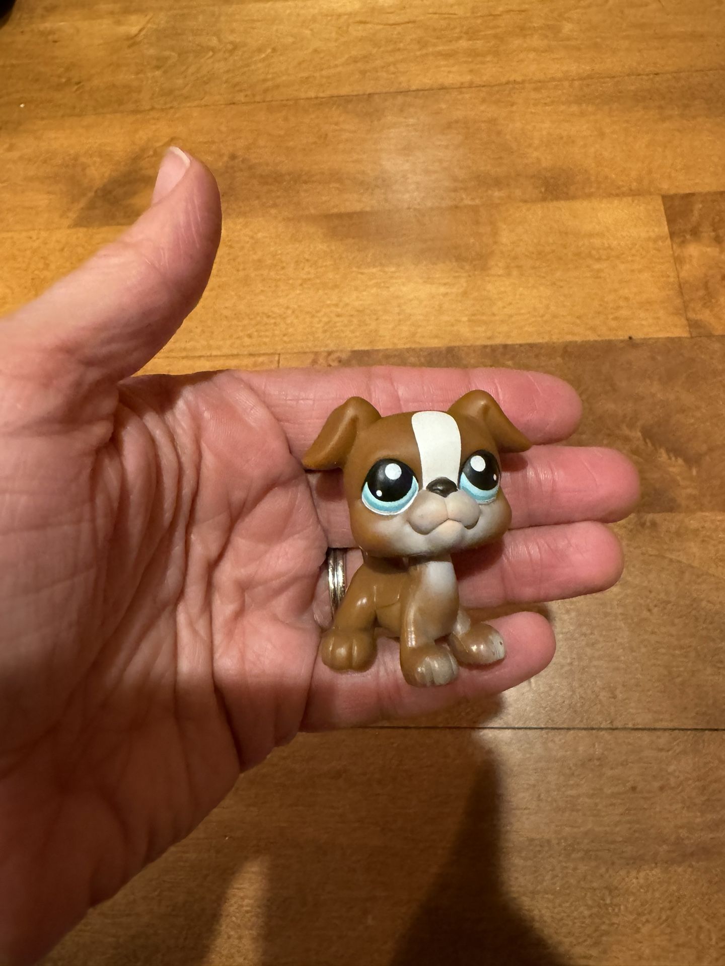 Littlest Pet Shop, Boxer, Dog Shipping Available